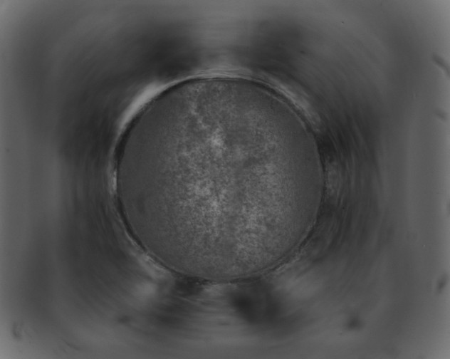X0000093121462200709261318