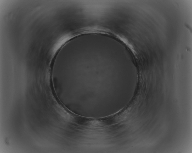 X0000093121463200709261318