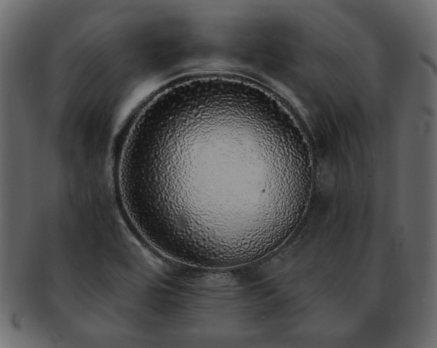 X0000093121464200709261318