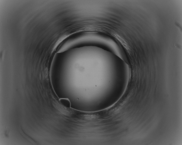 X0000093121465200709261318
