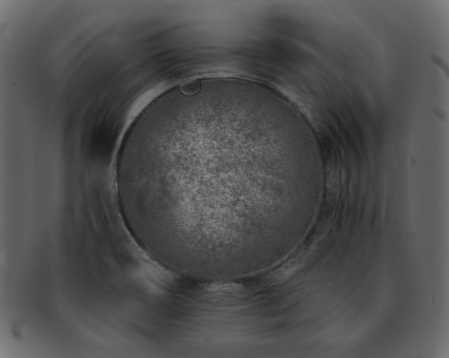 X0000093121466200709261318