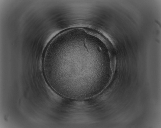 X0000093121468200709261318