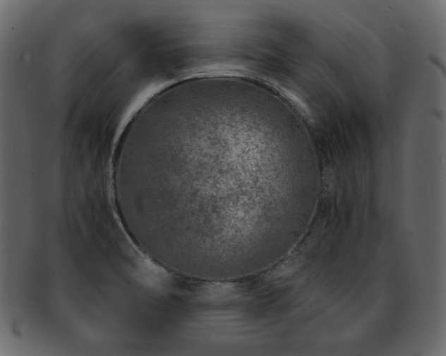 X0000093121470200709261318