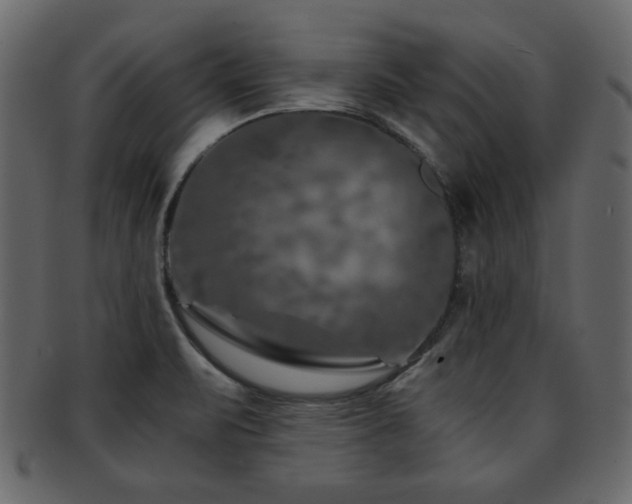X0000093121471200709261318