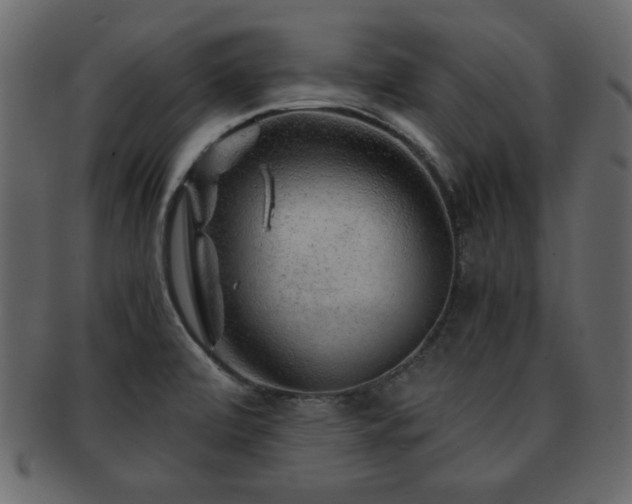 X0000093121472200709261318