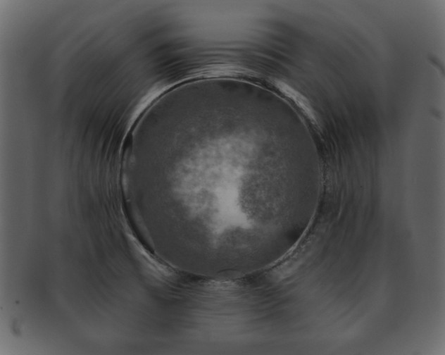 X0000093121473200709261318