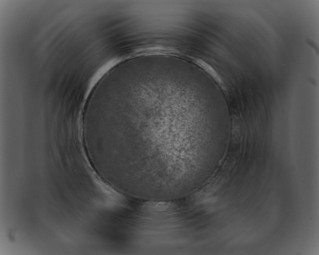 X0000093121474200709261318