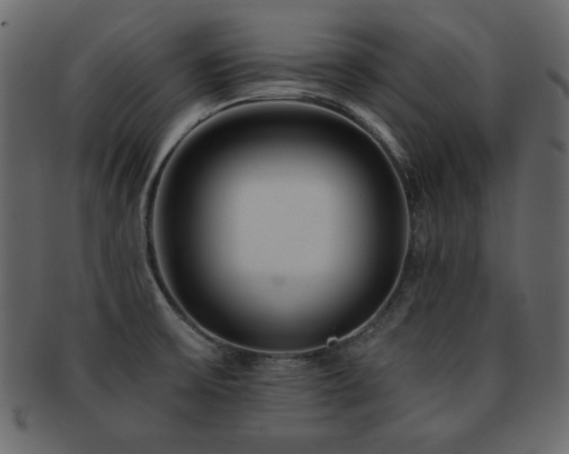 X0000093121475200709261318