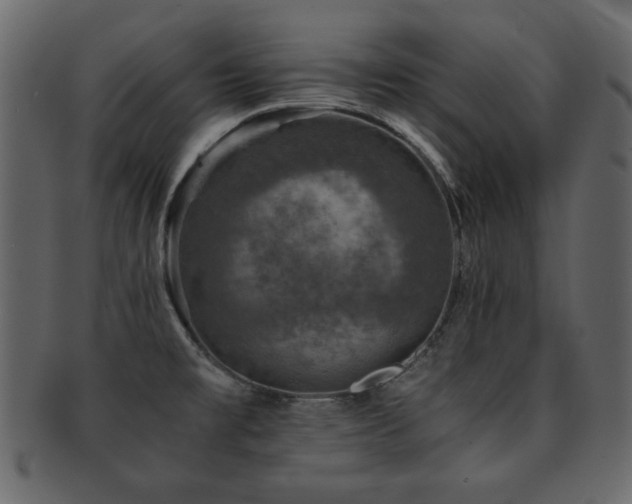 X0000093121477200709261318
