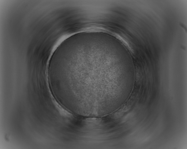 X0000093121478200709261318