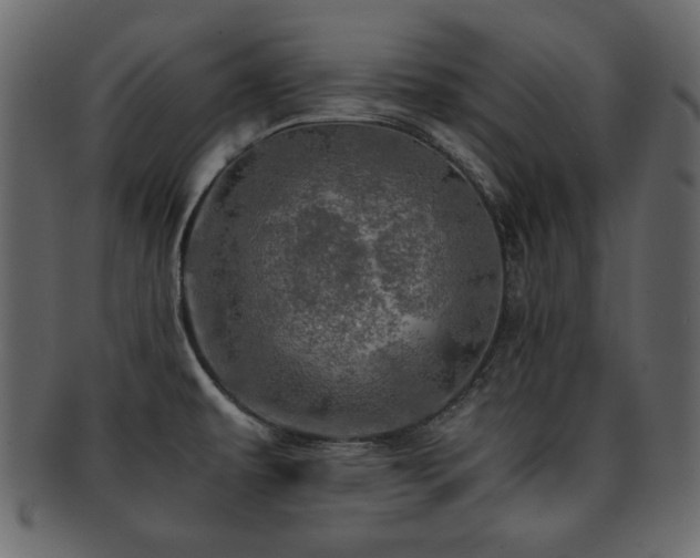 X0000093121479200709261318