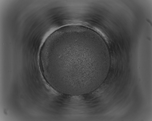 X0000093121480200709261318