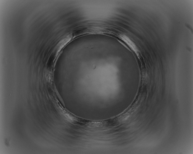 X0000093121481200709261318