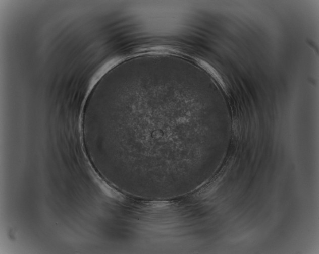 X0000093121482200709261318