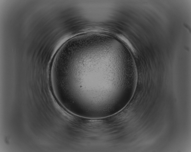 X0000093121483200709261318