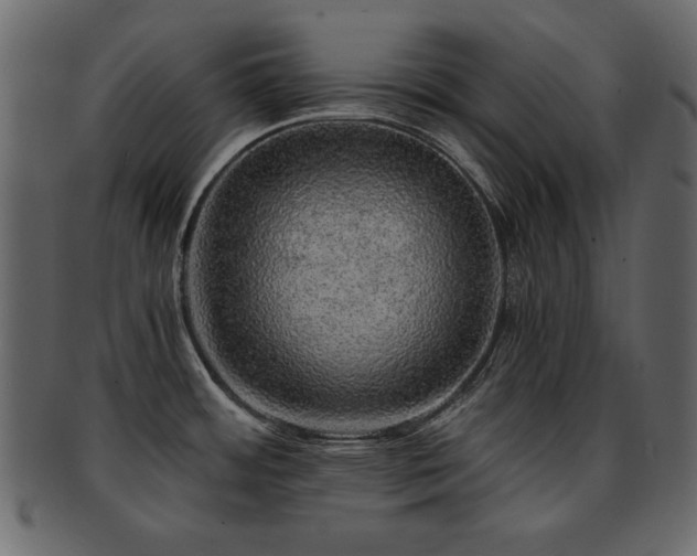 X0000093121484200709261318