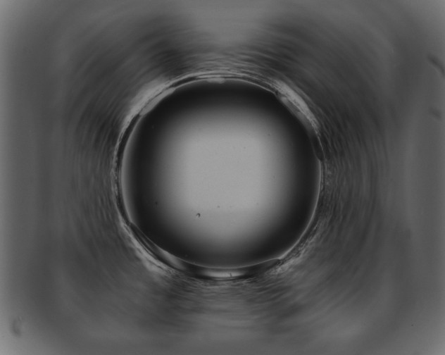X0000093121485200709261318