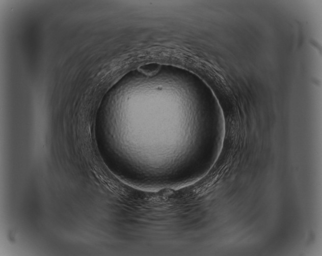 X0000093121489200709261317