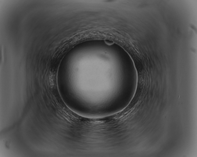 X0000093121490200709261317