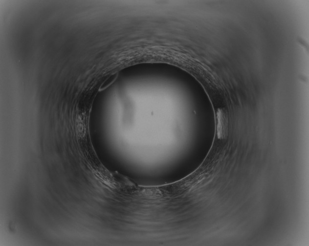 X0000093121491200709261317