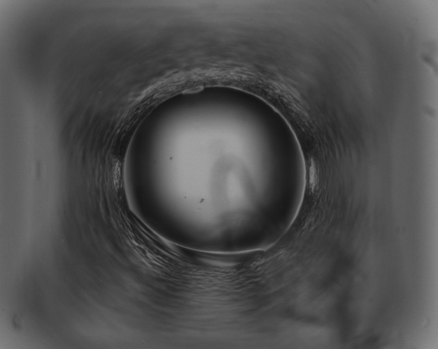 X0000093121492200709261317