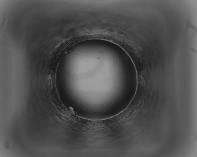 X0000093121493200709261317