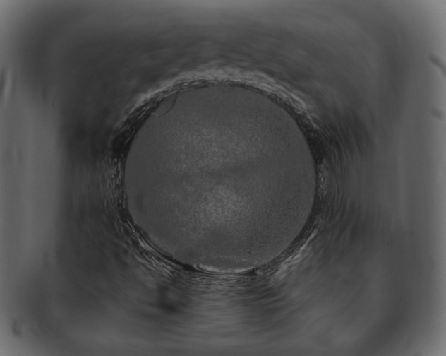 X0000093121494200709261317