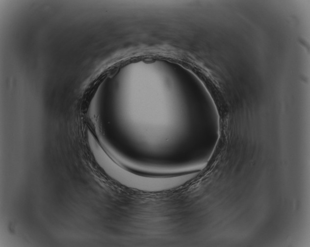 X0000093121496200709261317