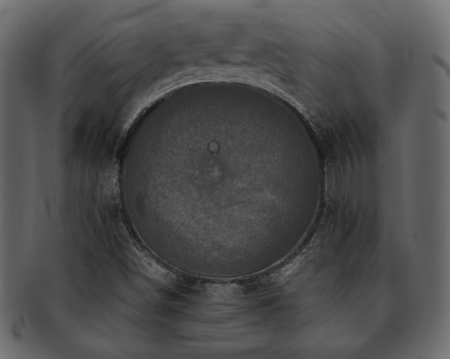 X0000093121498200709261317