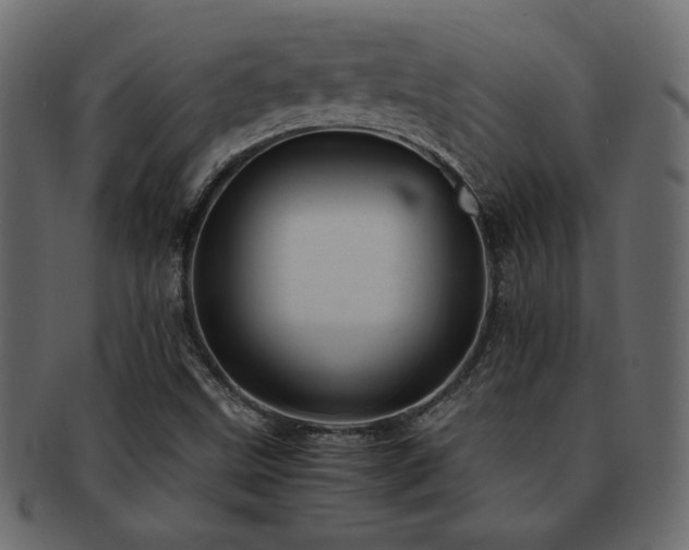 X0000093121499200709261317