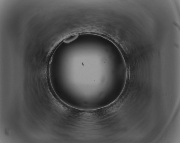 X0000093121500200709261317