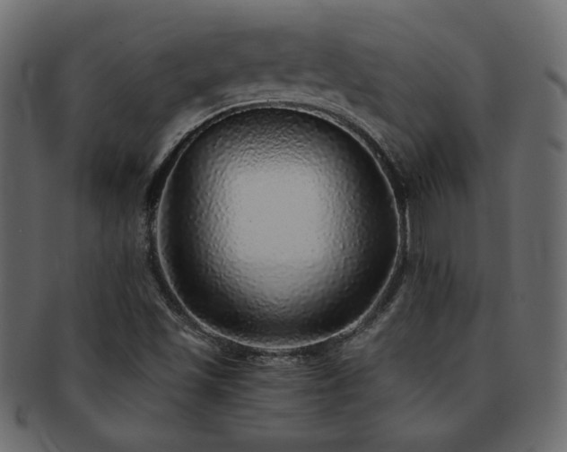 X0000093121501200709261317