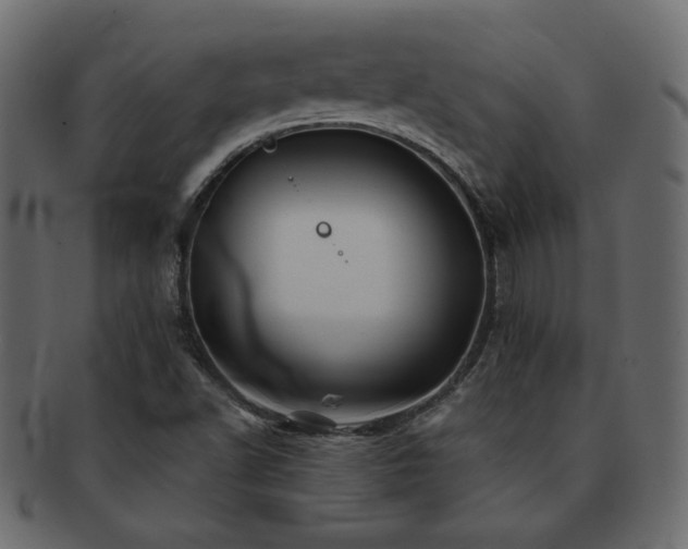 X0000093121502200709261317