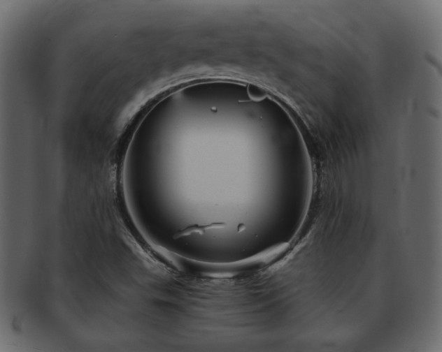 X0000093121503200709261317