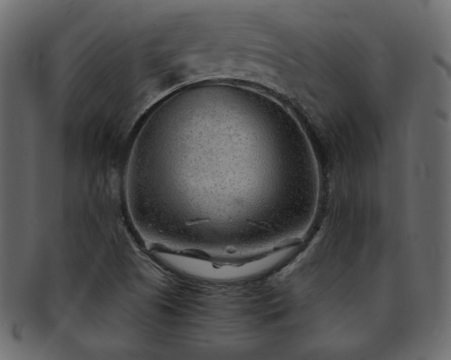 X0000093121505200709261317
