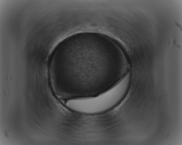 X0000093121506200709261318