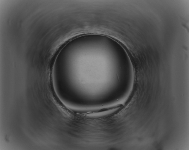 X0000093121507200709261318