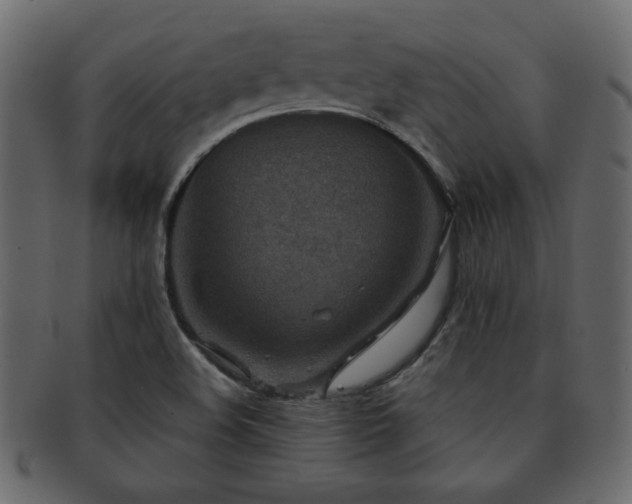 X0000093121508200709261318