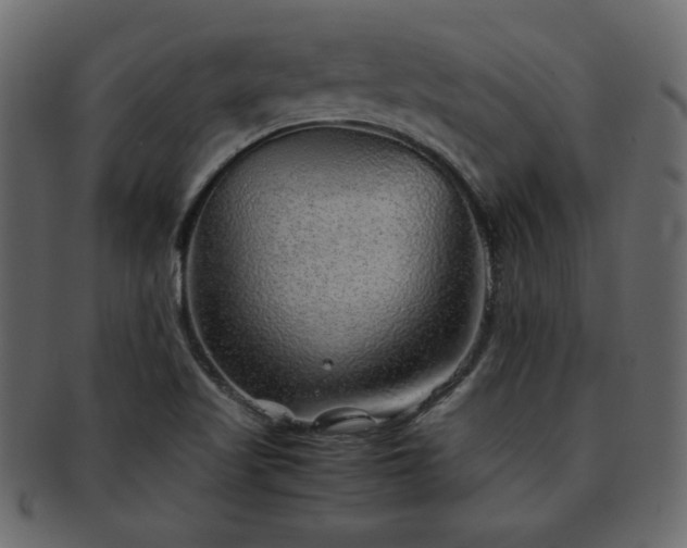 X0000093121509200709261318