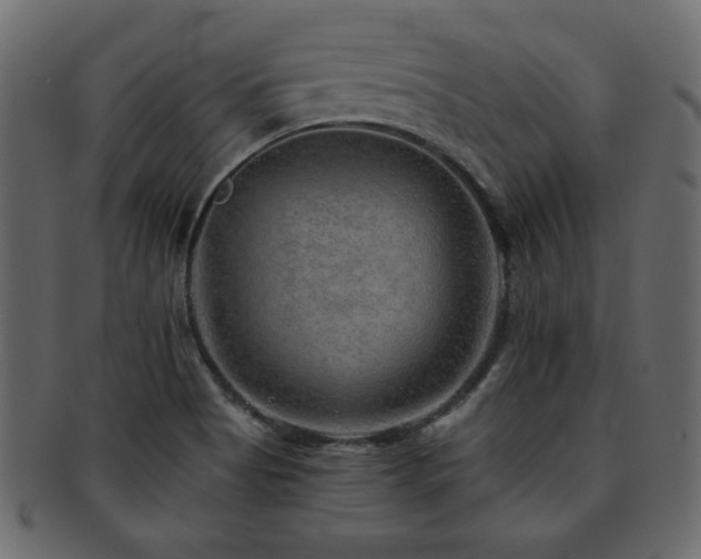 X0000093121513200709261318