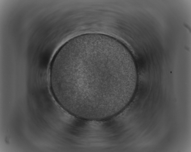 X0000093121514200709261318