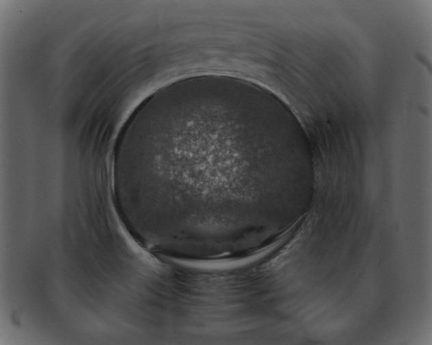 X0000093121515200709261318