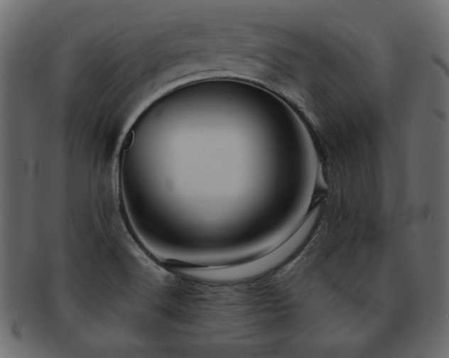 X0000093121516200709261318