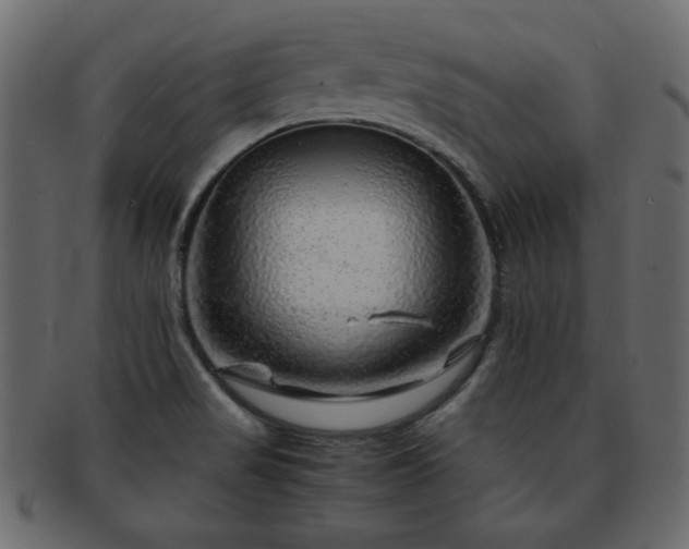 X0000093121517200709261318