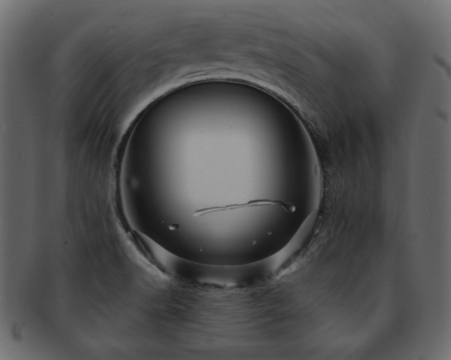 X0000093121518200709261318