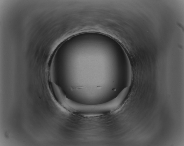 X0000093121519200709261318