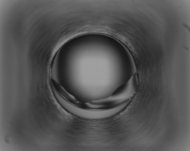 X0000093121520200709261318