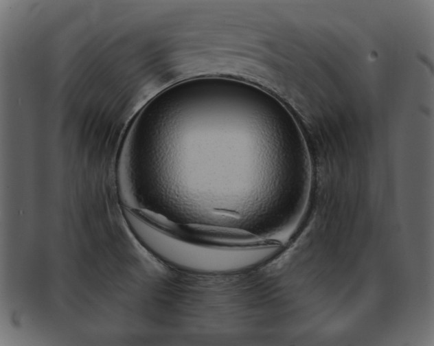 X0000093121521200709261318