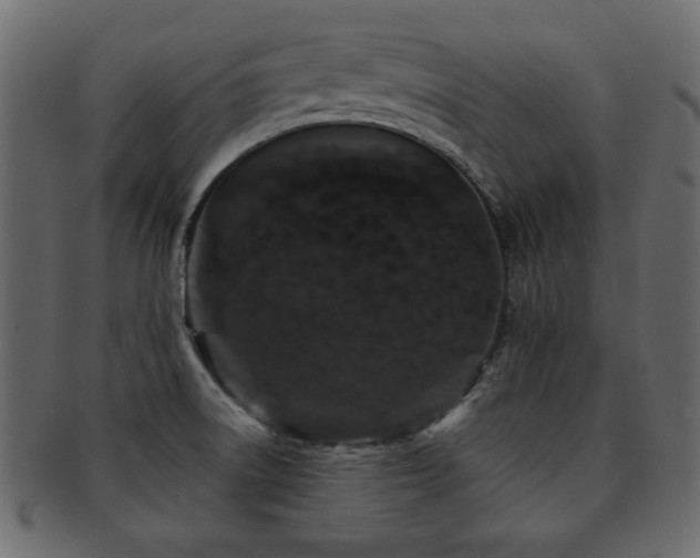 X0000093121522200709261318