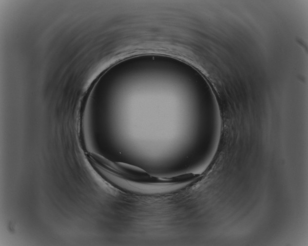 X0000093121523200709261318